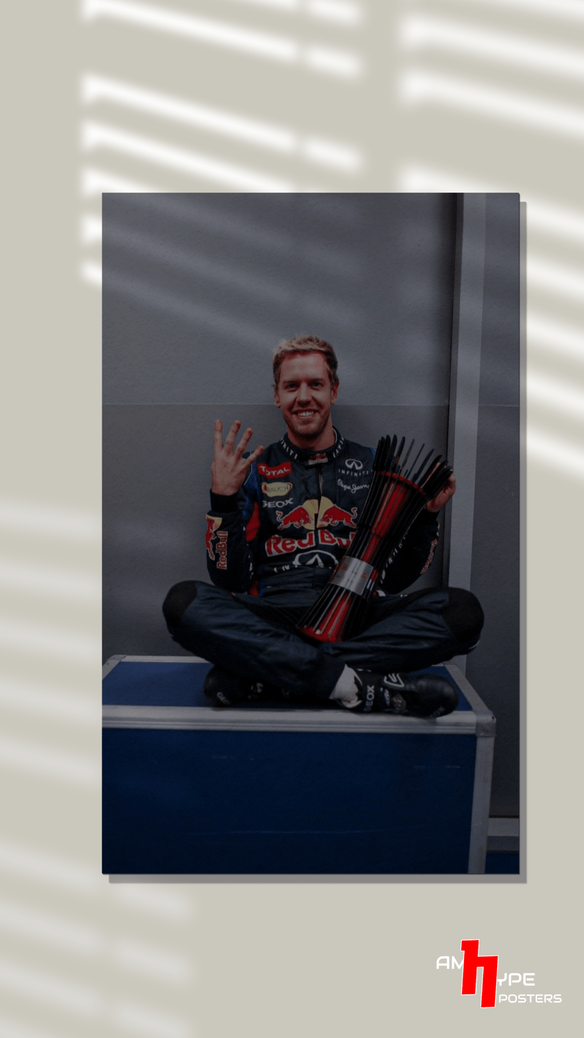 Sebastian Vettel | The Inspector Seb | F1 | Redbull | Wall Posters | A3 | A4 | Metal - amhype