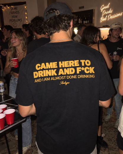 Came Here To Drink And F*ck Tee